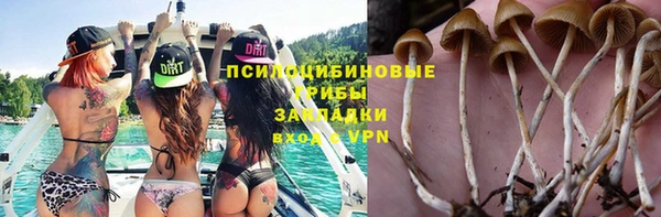 шишки Абдулино