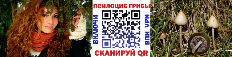 Галлюциногенные грибы Magic Shrooms Кяхта